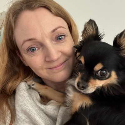 Hundetreffen-Spaziergangsbekanntschaft (weiblich) gesucht-Bild