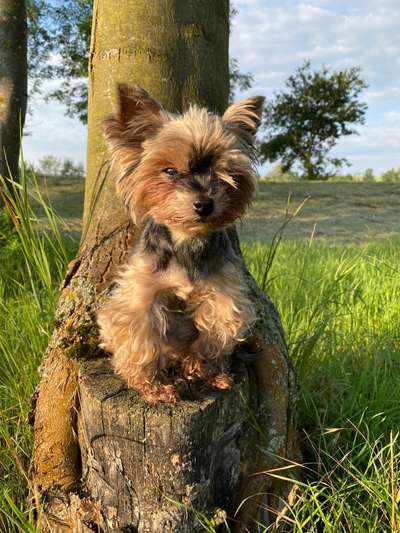 27. Handy Fotochallenge-Beitrag-Bild