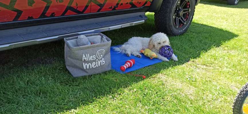 Spielzeug aufbewahrung-Beitrag-Bild