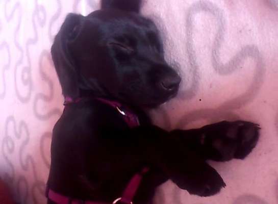 Foto Challenge 3-Beitrag-Bild