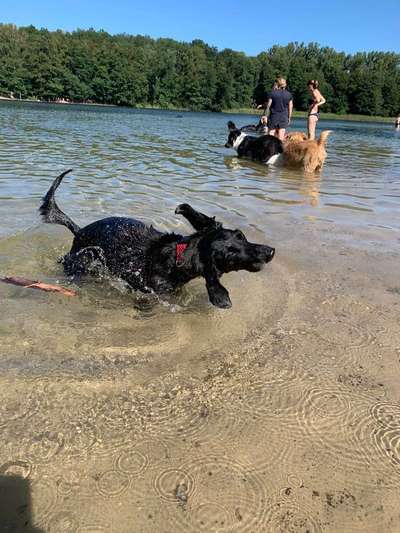 Foto Challenge - BEENDET - bitte aktuelle Challenge nutzen-Beitrag-Bild