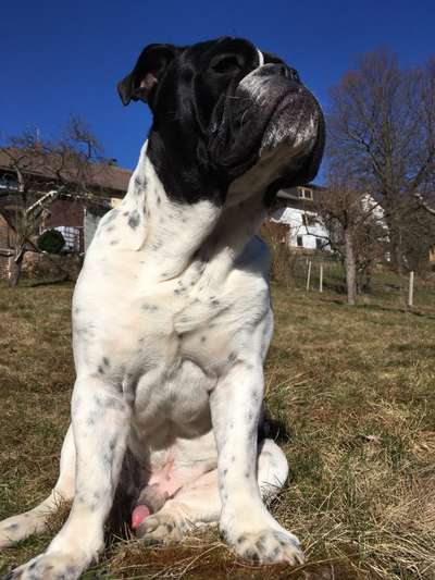 Lieblingsbild :D-Beitrag-Bild