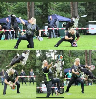 DogFrisbee-Beitrag-Bild