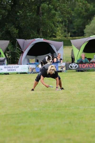 DogFrisbee-Beitrag-Bild