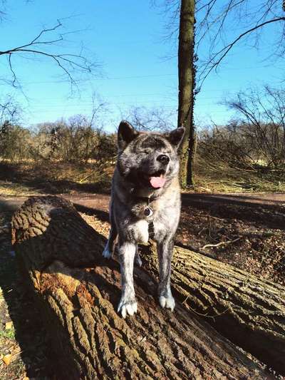 Theos Fotochallenge Nr. 3-Beitrag-Bild