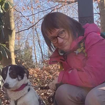 Hundetreffen-Spielspaß in Wenden-Profilbild