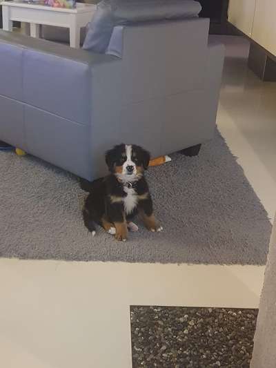 Challenge 21 - wo bin ich : )-Beitrag-Bild