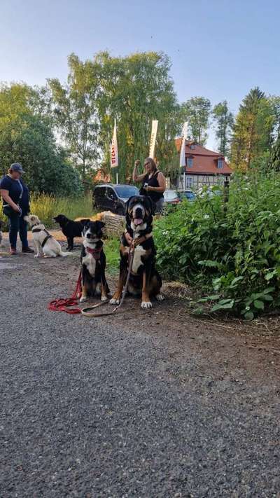 Giftköder-Social-Walk-Bild