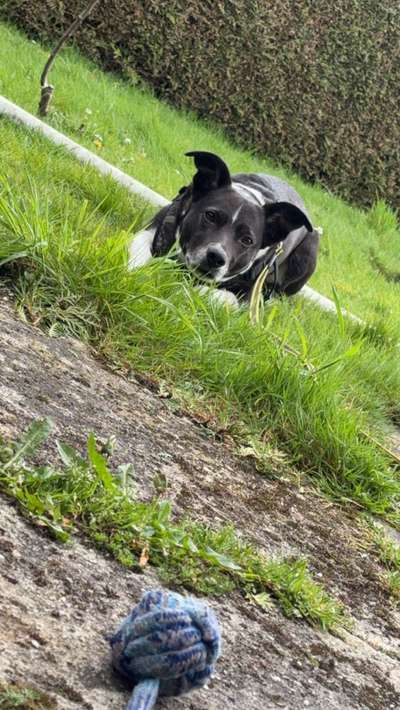 Auffälliges Verhalten..-Beitrag-Bild