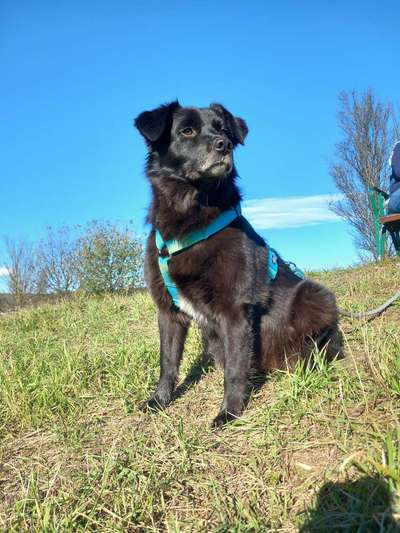 Lieblingsbild-Beitrag-Bild