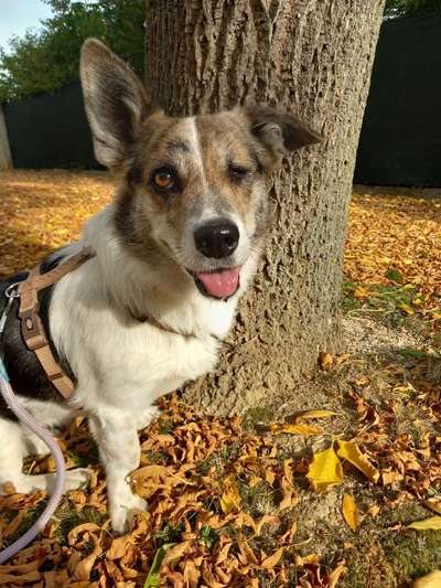 Lieblingsbild-Beitrag-Bild