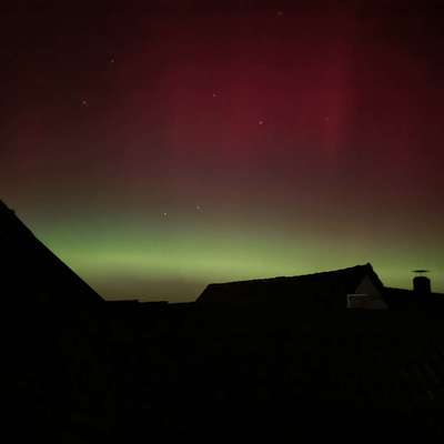 Hundetreffen-Welpentreff Lügde/Schieder/Bad Pyrmont