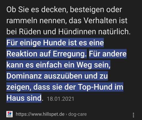 Warum lasst ihr kastrieren?-Beitrag-Bild