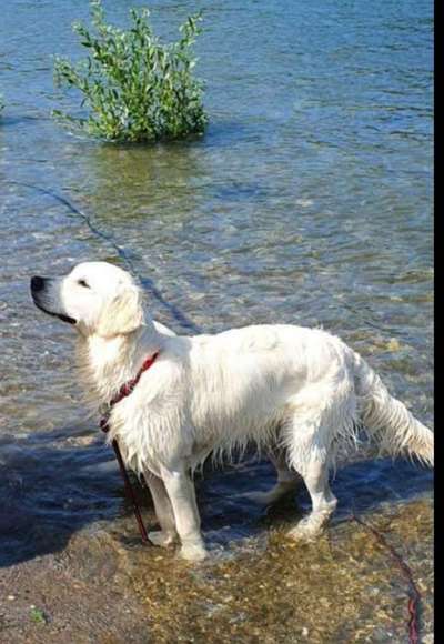 Foto Challenge Nr.133-Beitrag-Bild