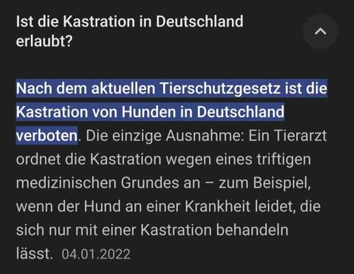 Warum lasst ihr kastrieren?-Beitrag-Bild