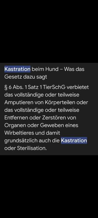 Warum lasst ihr kastrieren?-Beitrag-Bild