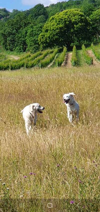 Fotochallenge Nr. 62 Romantische Momente-Beitrag-Bild