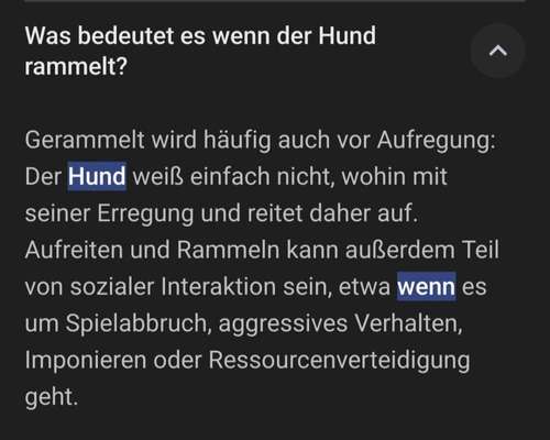 Warum lasst ihr kastrieren?-Beitrag-Bild