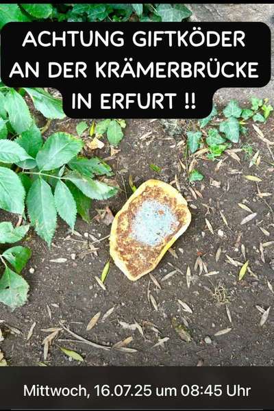 Giftköder-Giftköder-Bild