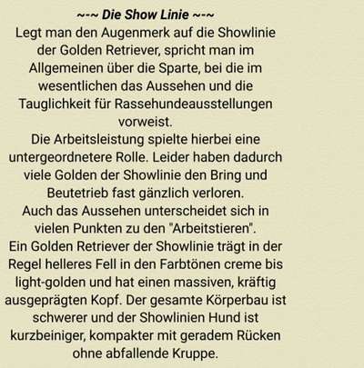 Golden Retriever Arbeitslinie-Beitrag-Bild