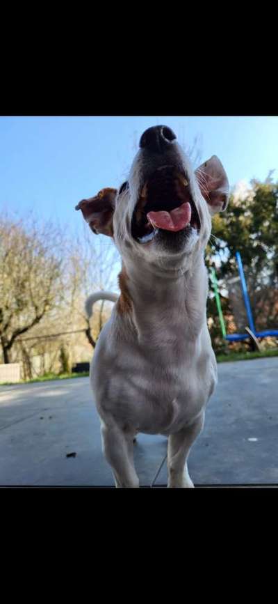 Handyfoto challenge Nr. 13: Waschlappen raus!-Beitrag-Bild