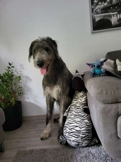 Handy-Foto-Challange Nr. 8-Beitrag-Bild