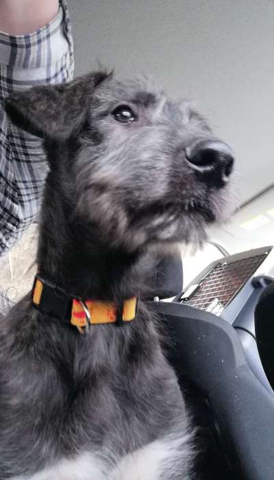 Erstes Bild-Beitrag-Bild