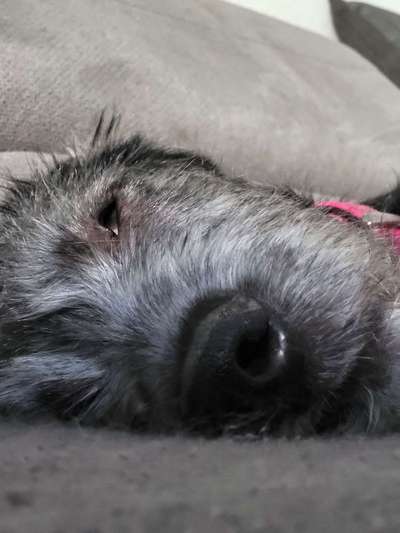 FOTO-Challenge  NR. 91: Die pure Entspannung-Beitrag-Bild