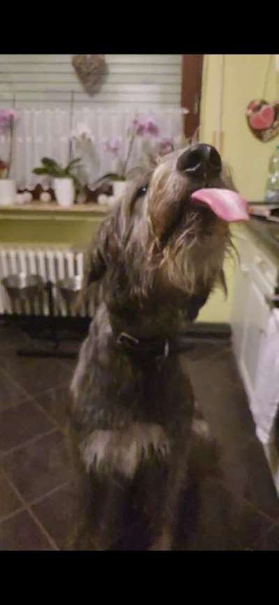 Handyfoto challenge Nr. 13: Waschlappen raus!-Beitrag-Bild