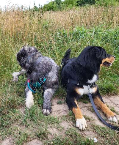 Foto-Challange No.1 - Alles aber nicht die Kamera-Beitrag-Bild