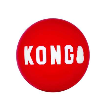 Hilfe,wir brauchen nen Ball😅-Beitrag-Bild