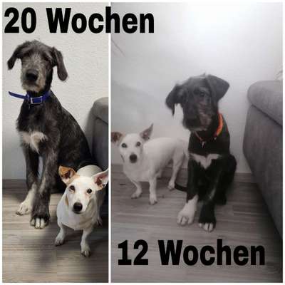 Sie werden so schnell groß!-Beitrag-Bild