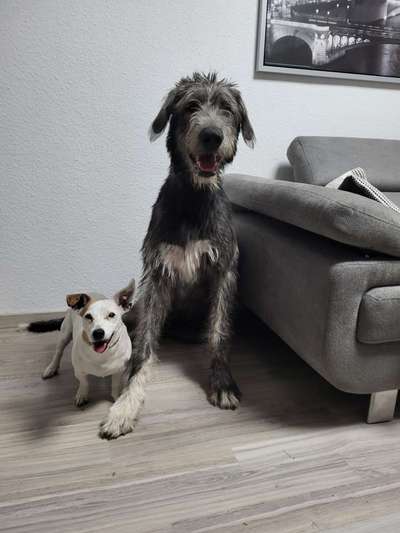 Sie werden so schnell groß!-Beitrag-Bild