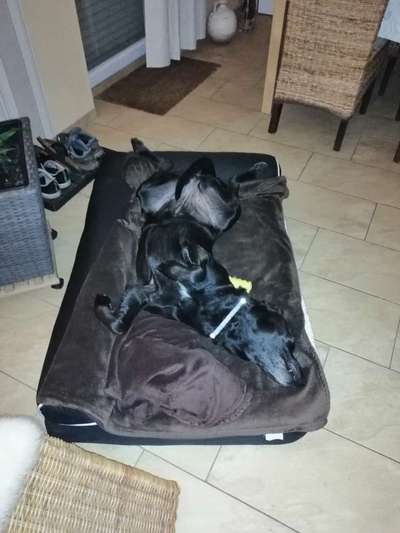 Die unbequemsten und lustigsten Schlafpositionen-Beitrag-Bild