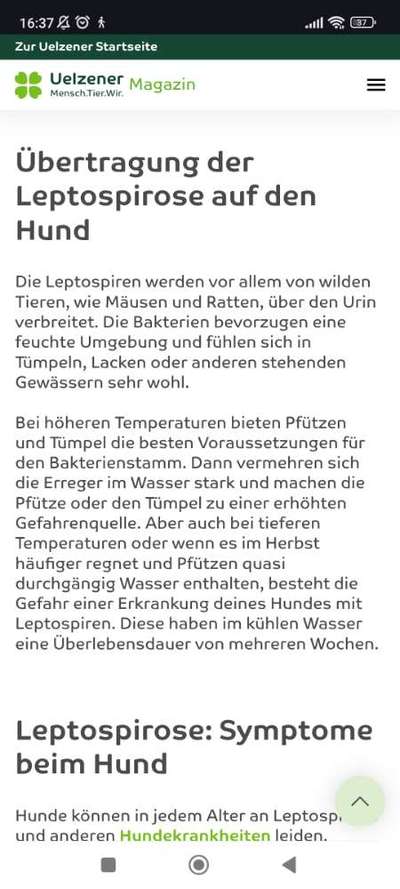 Impfung Tollwut - Gesicht angeschwollen-Beitrag-Bild