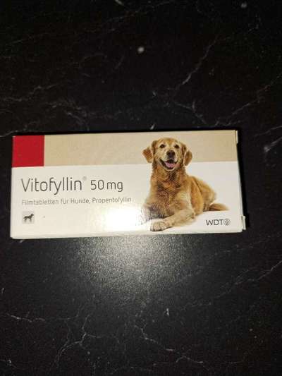 Frühaufsteherin wird zur Nachtschwärmerin-Beitrag-Bild