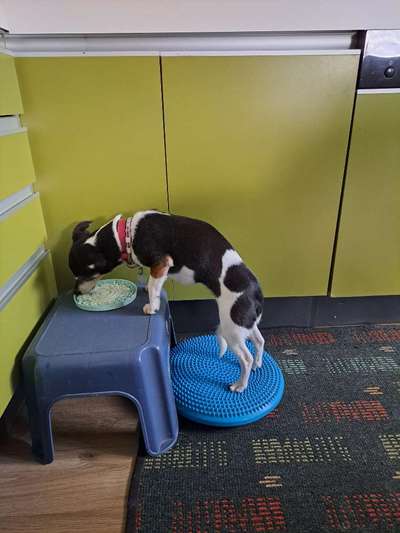 Wissenswoche - Deine Fragen zum Event-Beitrag-Bild