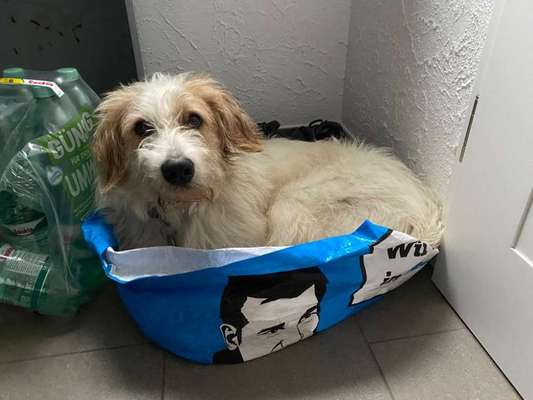 4. Lustiger Schlafplatz-Beitrag-Bild