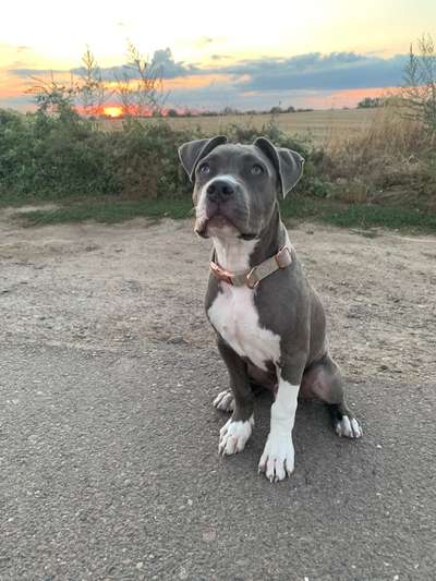 Handy-Foto Challange Nr. 10-Beitrag-Bild