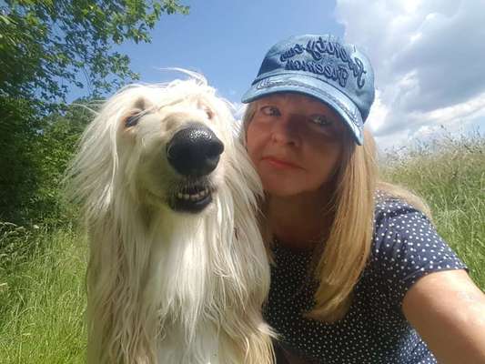 Unsere Fellnasen im Regenbogenland-Beitrag-Bild