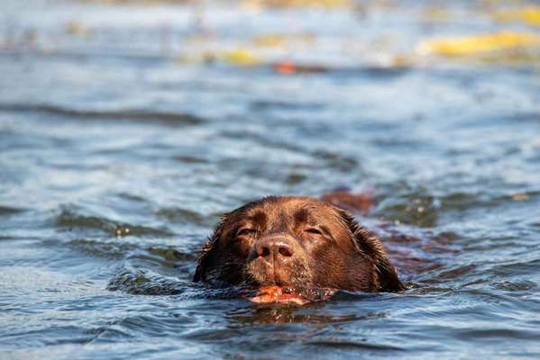 138. Fotochallenge 

(M)Ein Ball und ich-Beitrag-Bild