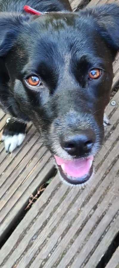 Handy-Foto Challange Nr. 10-Beitrag-Bild