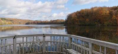 Hundeauslaufgebiet-Ukleisee Rundweg-Bild