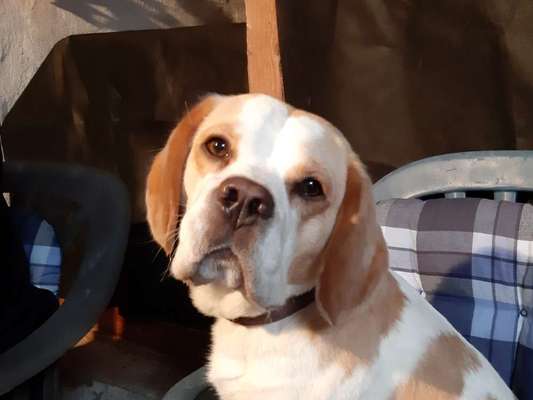 Fotochallange Nr. 57     PORTRÄT.   Beendet!!!!!!!!-Beitrag-Bild