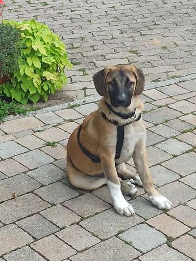 Warum bloss?-Beitrag-Bild