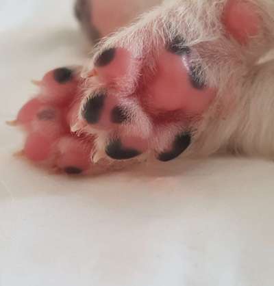 Blick fürs Detail!-Beitrag-Bild