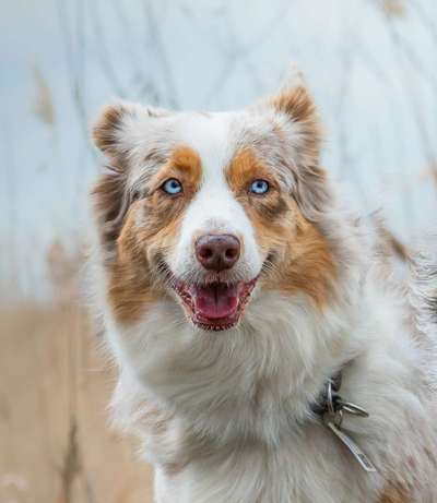 Blick fürs Detail!-Beitrag-Bild