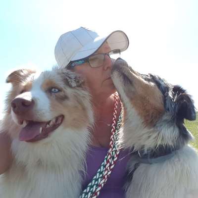 Challenge 33 - Du und dein Hund-Beitrag-Bild