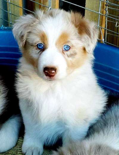 Blick fürs Detail!-Beitrag-Bild