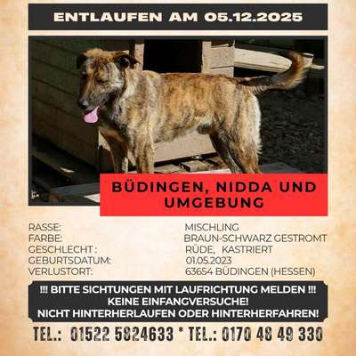 Suchmeldung-Filou-Bild